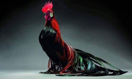 Kontes Ayam Tercantik | Fabel Nuraisah Maulida Adnani